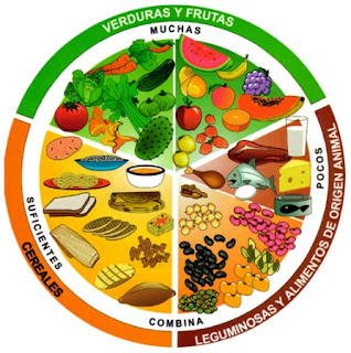 2900 dieta calorias para